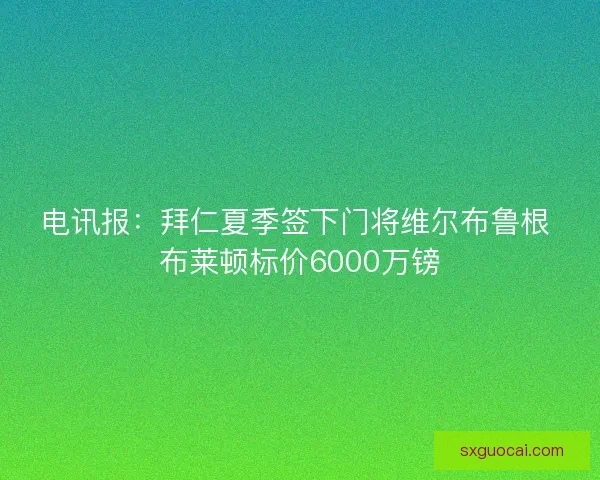 电讯报：拜仁夏季签下门将维尔布鲁根 布莱顿标价6000万镑