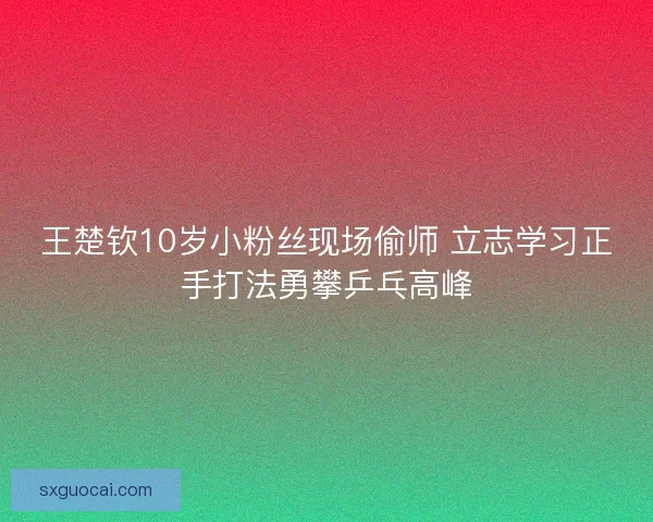 王楚钦10岁小粉丝现场偷师 立志学习正手打法勇攀乒乓高峰 王楚钦10岁小粉丝现场偷师 立志学习正手打法勇攀乒乓高峰