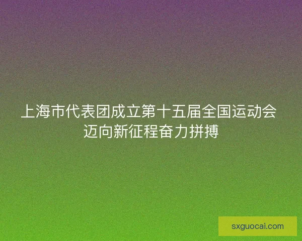上海市代表团成立第十五届全国运动会 迈向新征程奋力拼搏 上海市代表团成立第十五届全国运动会 迈向新征程奋力拼搏