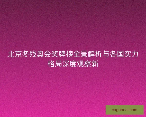 北京冬残奥会奖牌榜全景解析与各国实力格局深度观察新