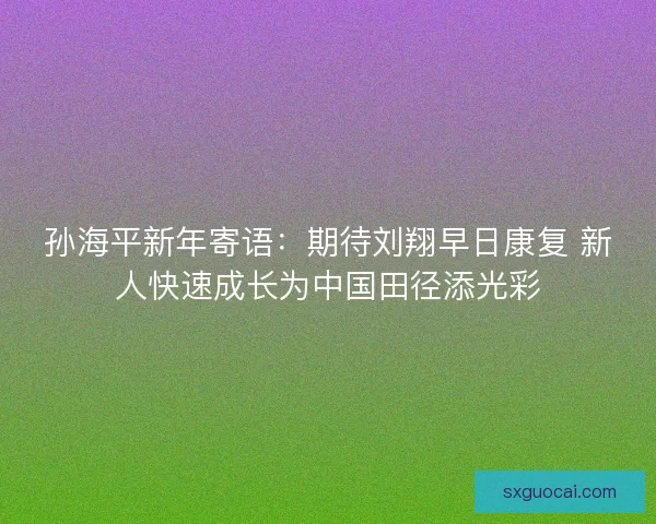 孙海平新年寄语：期待刘翔早日康复 新人快速成长为中国田径添光彩