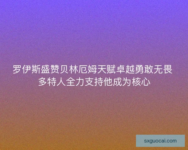 罗伊斯盛赞贝林厄姆天赋卓越勇敢无畏 多特人全力支持他成为核心 罗伊斯盛赞贝林厄姆天赋卓越勇敢无畏 多特人全力支持他成为核心